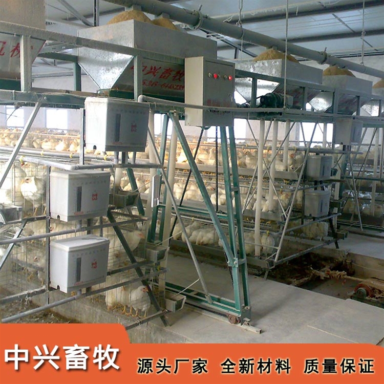 蛋鸡笼养设备