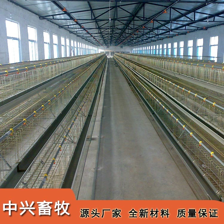 育雏育成鸡笼