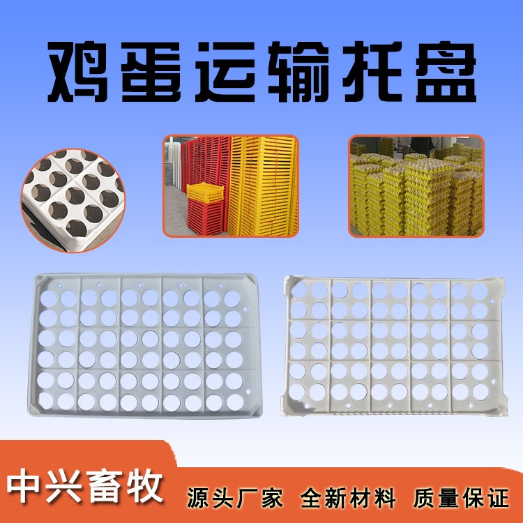 鸡蛋运输托盘