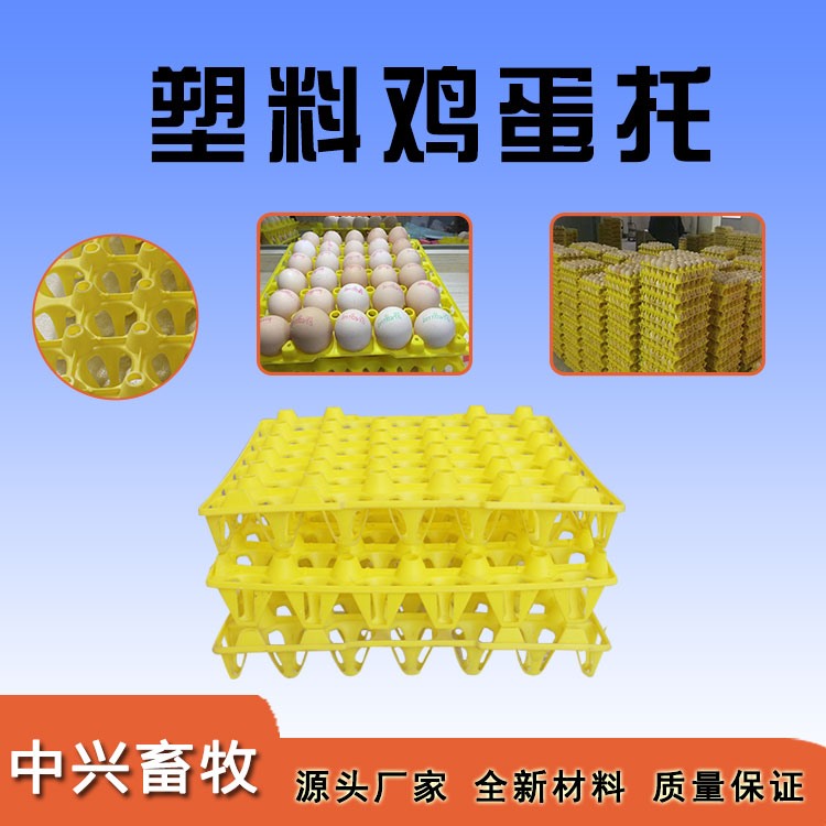 塑料鸡蛋托