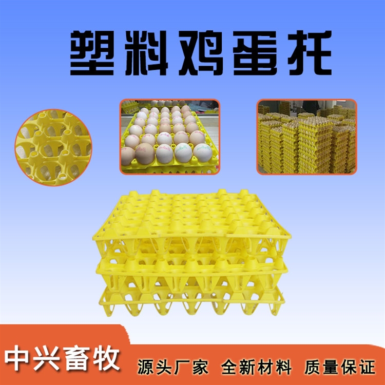 塑料鸡蛋托