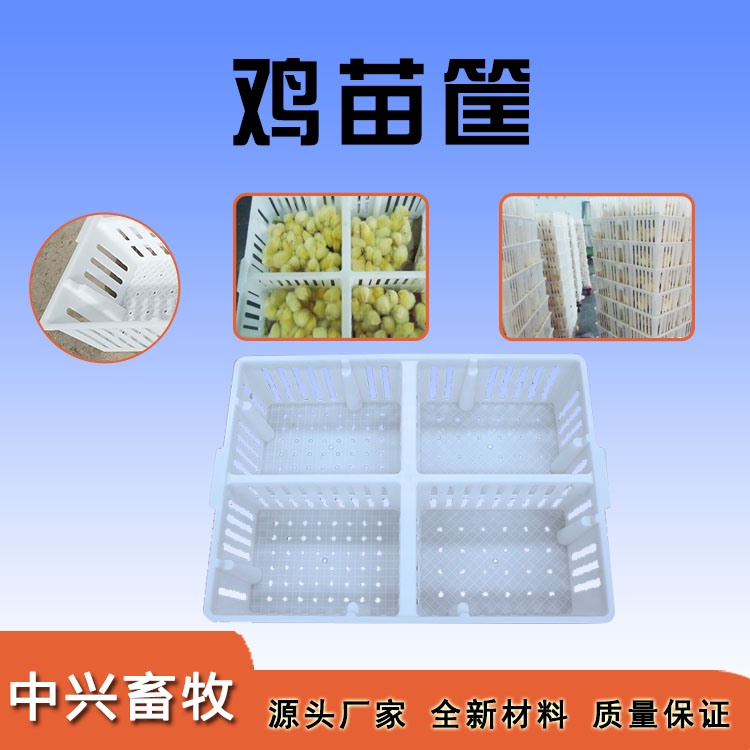 鸡苗筐
